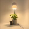 Lampada da Tavolo Biolume